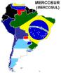 El Mercosur y las Plantas de Celulosa